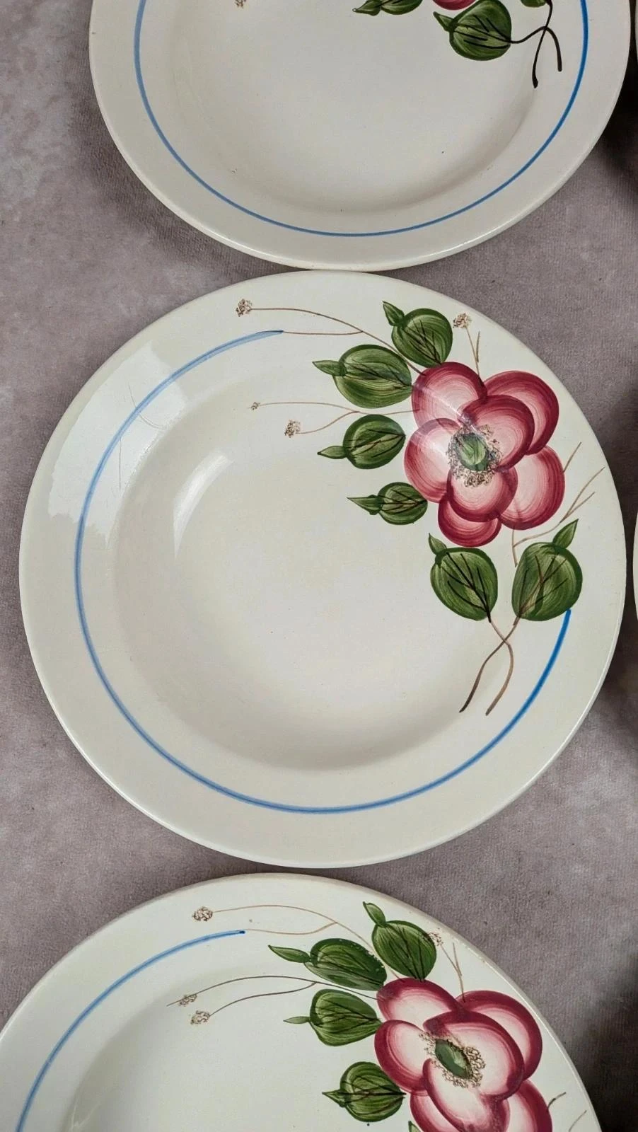 Set of 9 Sarreguemines Liliane model hollow plates – photo 5
